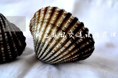 陵城区破坏交通设施罪律师介绍 陵城区破坏交通设施罪律师介绍