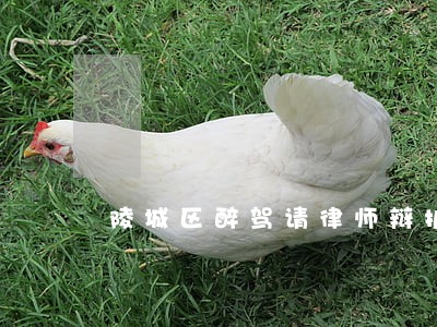陵城区醉驾请律师辩护多少钱 陵城区醉驾请律师辩护多少钱