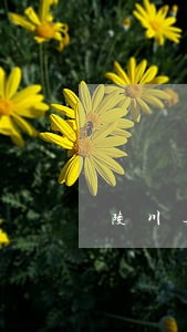 陵川县法院网 陵川县法院网