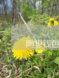 陶想钱包逾期 陶想钱包逾期