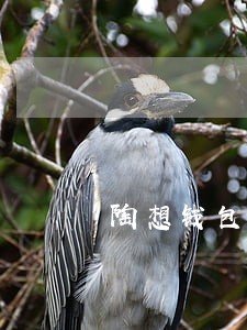 陶想钱包逾期了
