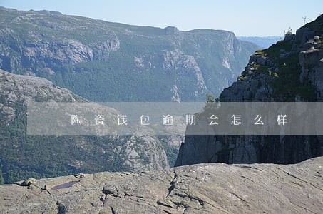 陶瓷钱包逾期会怎么样 陶瓷钱包逾期会怎么样