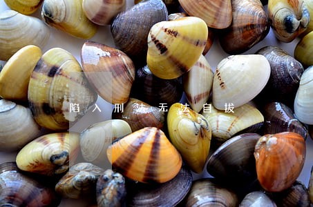 陷入刑法无法自拔 陷入刑法无法自拔