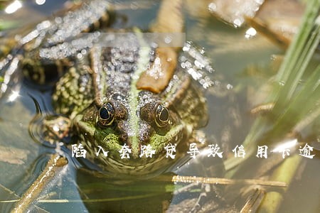 陷入套路贷导致信用卡逾期 陷入套路贷导致信用卡逾期