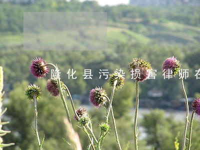 隆化县污染损害律师在线免费咨询 隆化县污染损害律师在线免费咨询