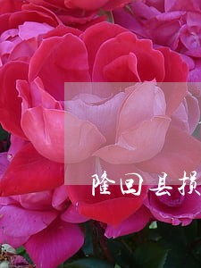 隆回县损害赔偿在线律师 隆回县损害赔偿在线律师