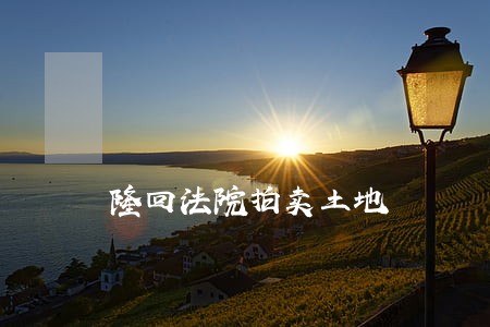 隆回法院拍卖土地 隆回法院拍卖土地