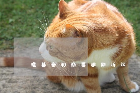 隆基泰和商票逾期诉讼 隆基泰和商票逾期诉讼