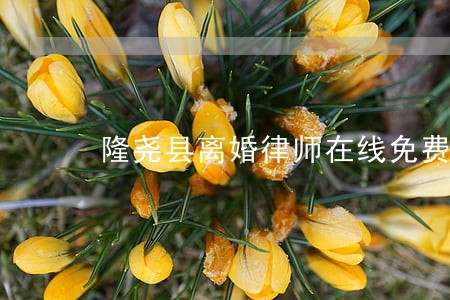 隆尧县离婚律师在线免费咨询 隆尧县离婚律师在线免费咨询