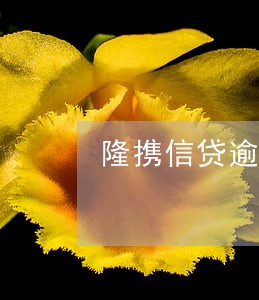 隆携信贷逾期 隆携信贷逾期