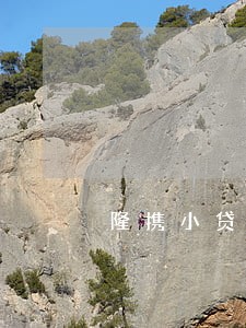 隆携小贷逾期 隆携小贷逾期