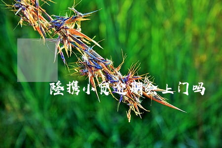 隆携小贷逾期会上门吗 隆携小贷逾期会上门吗