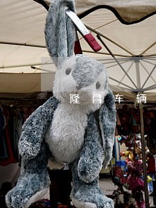 隆昌车辆逾期名单 隆昌车辆逾期名单