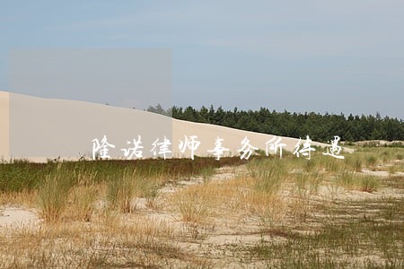 隆诺律师事务所待遇