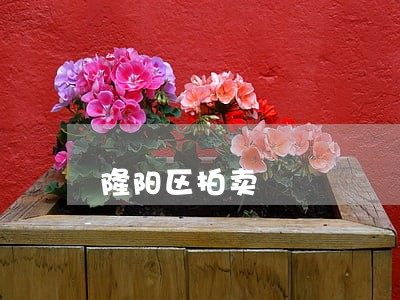 隆阳区拍卖 隆阳区拍卖