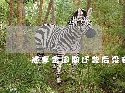 随享金逾期还款后没有额度了 随享金逾期还款后没有额度了