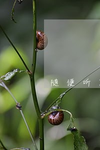 随便听国歌是违法吗