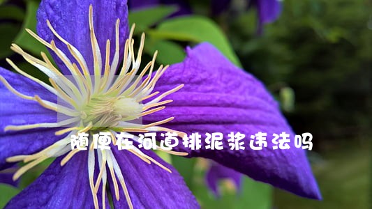 随便在河道排泥浆违法吗