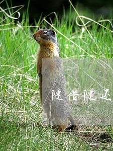 随借随还逾期要什么后果