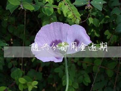 随兴分备用金逾期 随兴分备用金逾期
