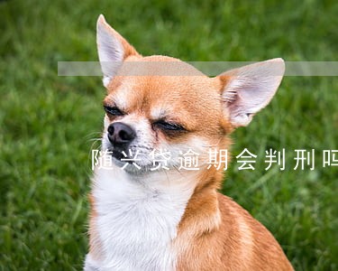 随兴贷逾期会判刑吗