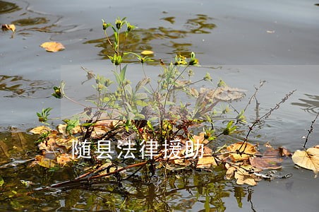 随县法律援助 随县法律援助