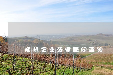 随州企业法律顾问咨询 随州企业法律顾问咨询