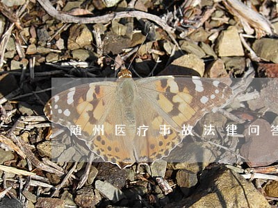 随州医疗事故法律问答 随州医疗事故法律问答