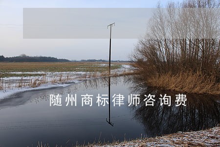 随州商标律师咨询费 随州商标律师咨询费