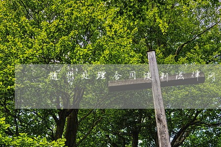 随州处理合同谈判法律问题律师