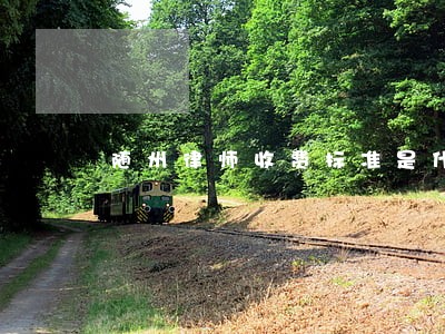 随州律师收费标准是什么样的