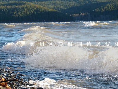 随州网贷逾期债务优化怎么收费 随州网贷逾期债务优化怎么收费