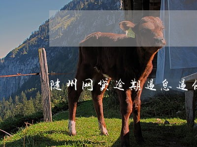 随州网贷逾期退息退保服务费用 随州网贷逾期退息退保服务费用