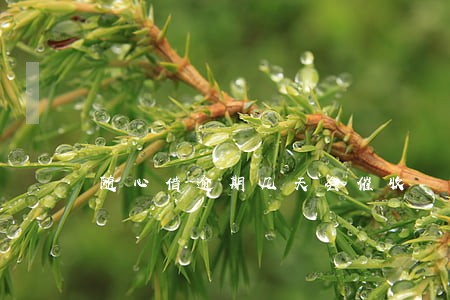 随心借逾期几天会催收 随心借逾期几天会催收