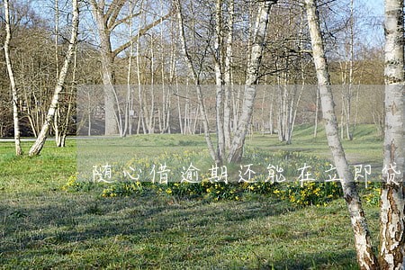 随心借逾期还能在立即贷借款吗 随心借逾期还能在立即贷借款吗