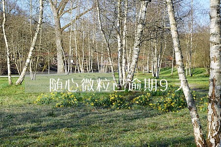 随心微粒已逾期9天 随心微粒已逾期9天