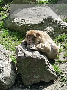 随心微粒逾期半年了 随心微粒逾期半年了