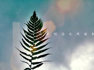 随心花发短信说我逾期了 随心花发短信说我逾期了