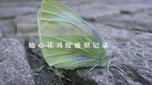 随心花消除逾期记录 随心花消除逾期记录