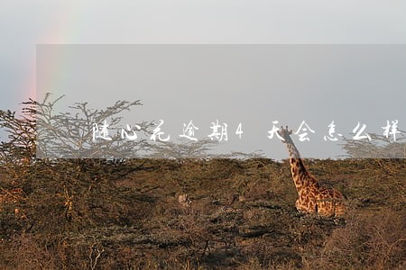 随心花逾期4天会怎么样 随心花逾期4天会怎么样