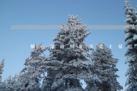 随心花逾期8天会上征信吗