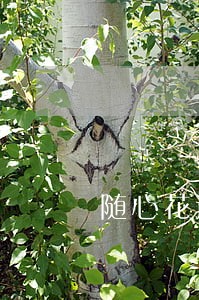 随心花逾期一天费用 随心花逾期一天费用