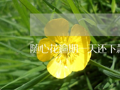 随心花逾期一天还下款 随心花逾期一天还下款