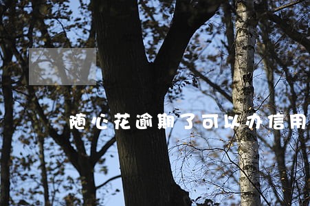 随心花逾期了可以办信用卡吗 随心花逾期了可以办信用卡吗