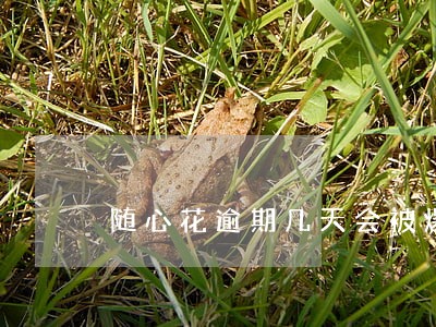 随心花逾期几天会被爆 随心花逾期几天会被爆