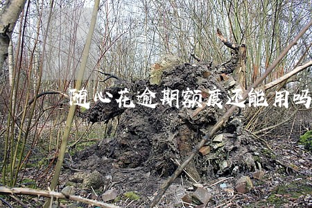随心花逾期额度还能用吗 随心花逾期额度还能用吗