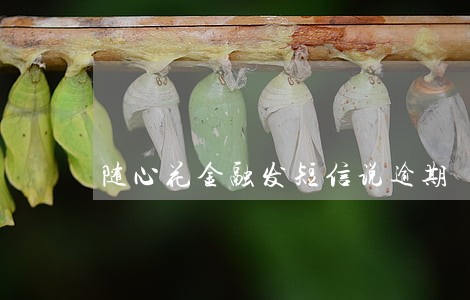 随心花金融发短信说逾期 随心花金融发短信说逾期