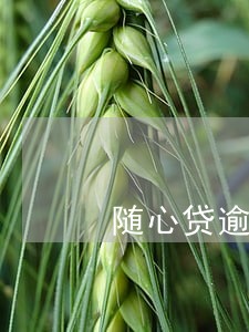 随心贷逾期7天会上征信吗 随心贷逾期7天会上征信吗