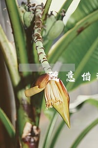 随意借逾期一天没事吧 随意借逾期一天没事吧