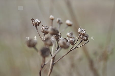 随意借逾期会上诉吗 随意借逾期会上诉吗